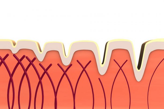 Kosmetyki z kolagenem – jak dbać o jędrność i nawilżenie skóry?