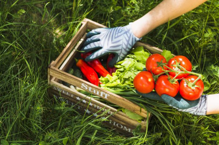 Jakie są najlepsze warzywne przekąski?