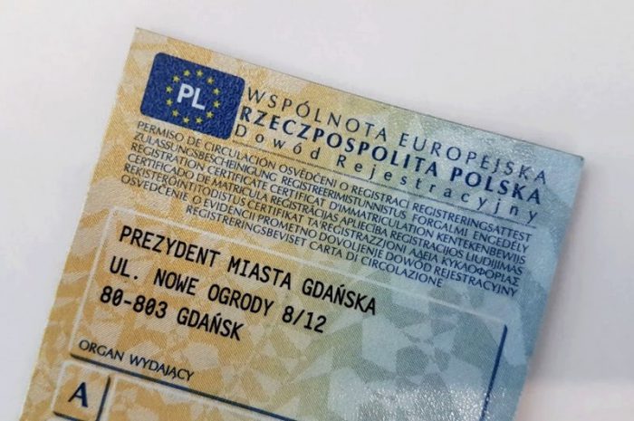 Zgubiony dowód rejestracyjny – co zrobić? Niezbędne formalności