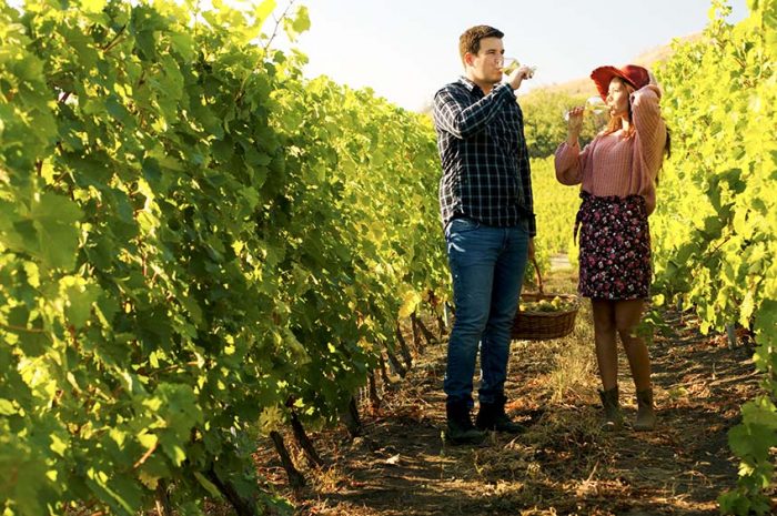 Enoturystyka czyli wine tour po polsku