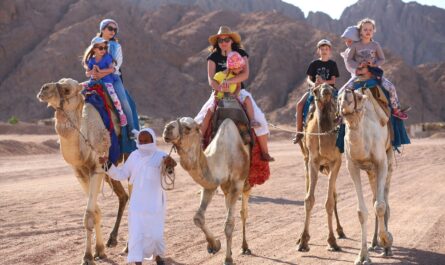 Sharm,El,Sheikh,,Egypt,-,March,18,,2020:,Tourists,Riding
